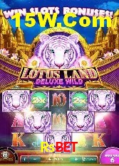 Experiência VIP Rsbet